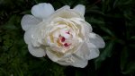 20150615_135519.jpg