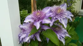 20150615_135707.webp