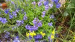 20150615_135738.jpg