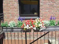Blumen (2).webp