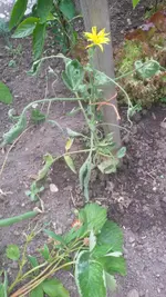 20150615_130333.webp