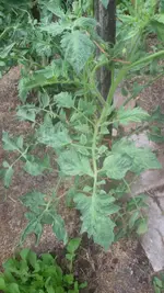20150615_130324.webp