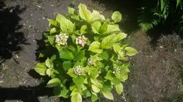 20150610_144430.webp