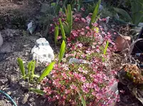 CAM00515.webp
