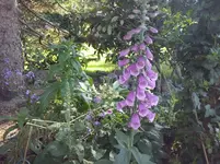 CAM00519.webp