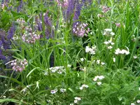 DSCN9083.webp