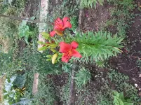 20150615_164225[1].webp