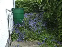 BILD4105.webp