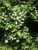 BILD4112.webp