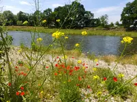 DSCF9090.webp