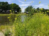 DSCF9073.webp