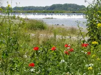 DSCF9085.webp