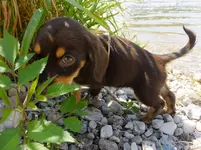 DSCF9132.webp