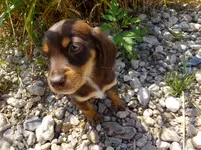 DSCF9136.webp