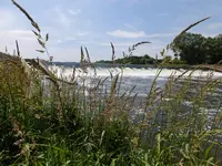 DSCF9145.webp