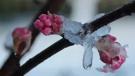 Element_Wasser.webp