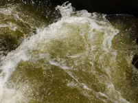 DSCF9164.webp