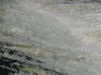 DSCF9171.webp