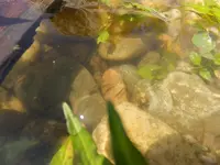 DSCF9209.webp