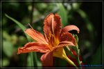 comp_DSC03795.jpg