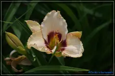 comp_DSC03796.webp