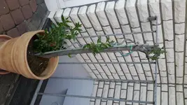 20150615_201113.jpg
