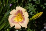 IMG_9447.jpg