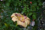 IMG_9480.jpg