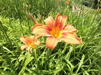 Bilda008.webp