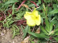Bilda030.webp