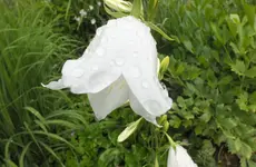 DSCF1503 (2).webp