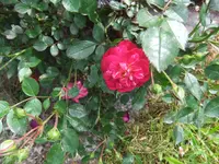 037.webp