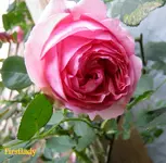 IMG_5070.webp