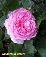 IMG_5079.webp