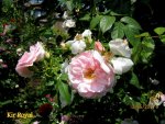 IMG_5148.JPG