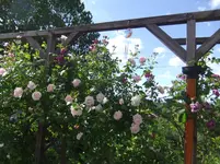 074.webp