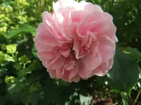 080.webp