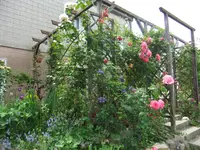 018.webp