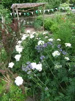 023.webp