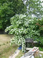 025.webp