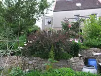 053.webp