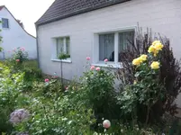 060.webp