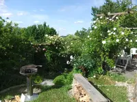 082.webp