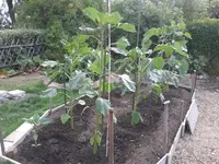 20150616_103223.webp
