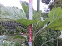 20150616_103323.webp