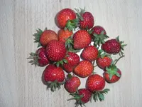 RIMG4062.webp