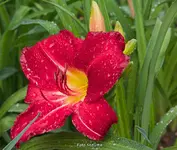 IMG_9516.webp