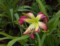 IMG_9521.jpg