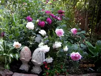 IMG_5111.webp