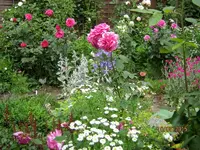 IMG_5270-001.webp